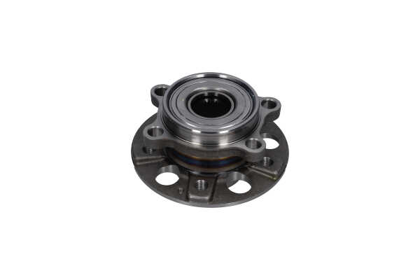 KAVO PARTS WBH-10011 Rato guolio komplektas SSANGYONG Korando SUV (CK) 178 AG dyzelinas kaina