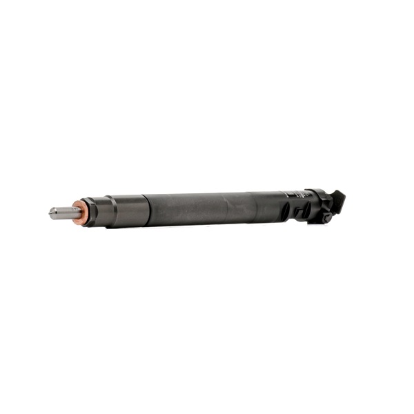 DELPHI R00101DP-12B1: Iniettore