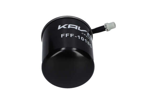 KAVO PARTS FFF-10180 Kraftstofffilter MERCEDES-BENZ C-Klasse Cabrio (A205) 163 PS Diesel Kosten