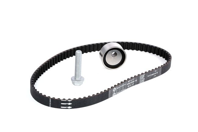 INA 530 0182 10 Distributieriem set RENAULT TWINGO 2 (CN0) 58 Pk Benzine kosten