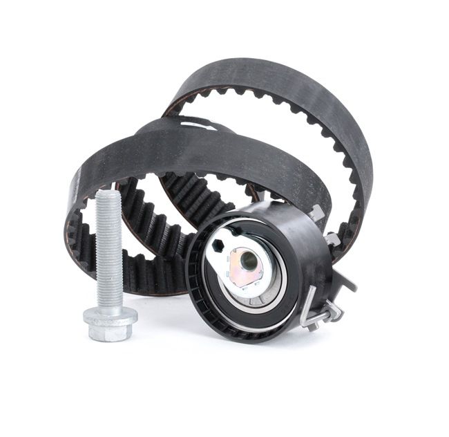 INA 530 0195 10: Set curea de distributie Numar dinti 1: 95