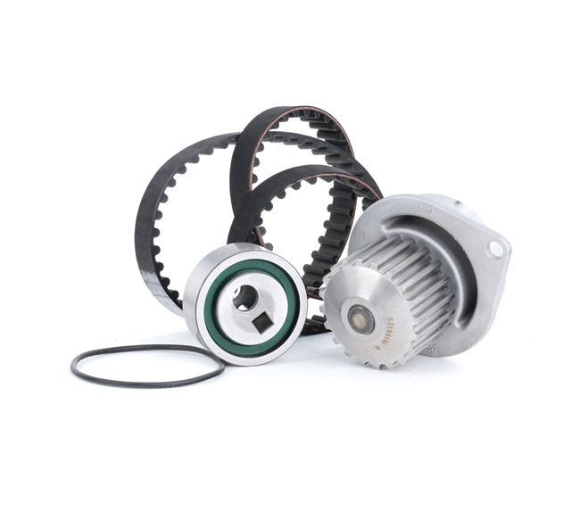 INA 530 0252 30: Kit cinghia distribuzione, pompa acqua