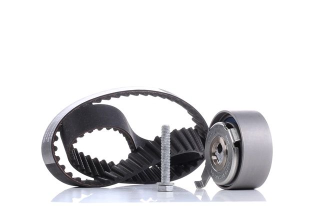 INA 530 0481 10 Distributieriem set VOLKSWAGEN Phaeton (3D1, 3D2, 3D3, 3D4, 3D6, 3D7, 3D8, 3D9) 224 Pk Diesel kosten