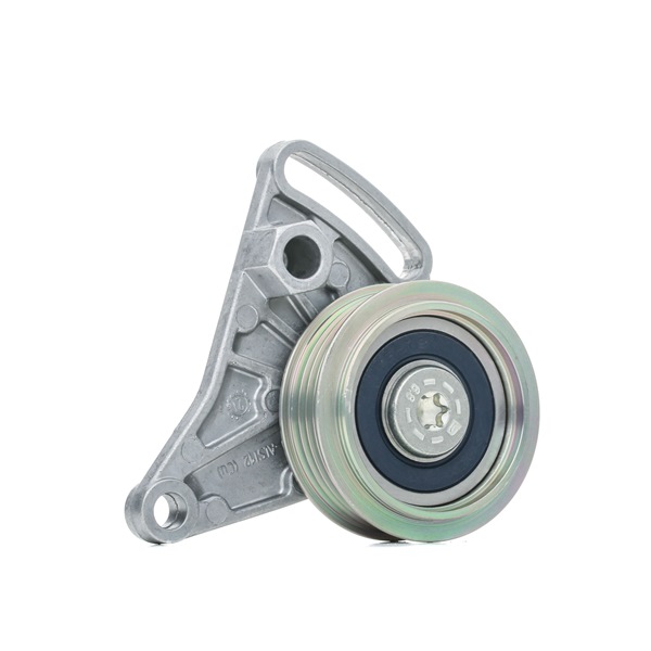 INA 531 0309 10 Spanrol, poly V-riem VOLKSWAGEN PASSAT Variant (3B6) 170 Pk Benzine kosten