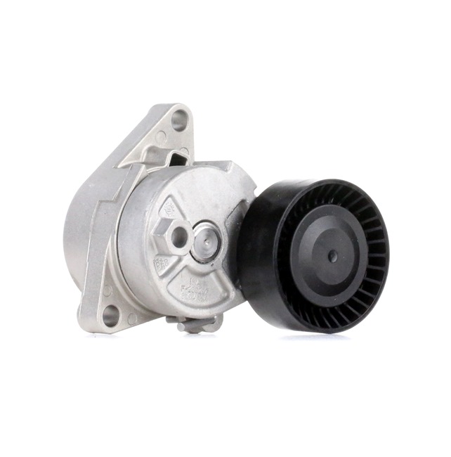 INA 534 0104 10: Intinzator, curea transmisie