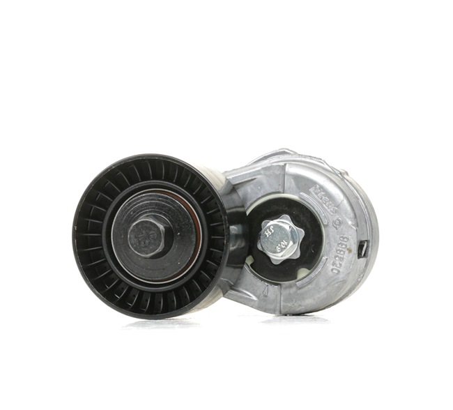 INA 534 0109 20 Tensor, correia trapezoidal estriada FIAT BRAVO 1 (182) 100 cv Diesel custo