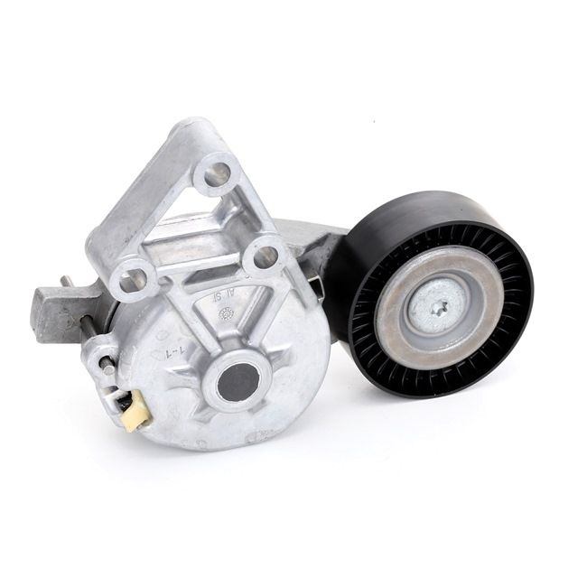 INA 534 0132 30 Spanner, Poly V-riem SKODA Octavia 1 Combi (1U5) 100 Pk Diesel kosten