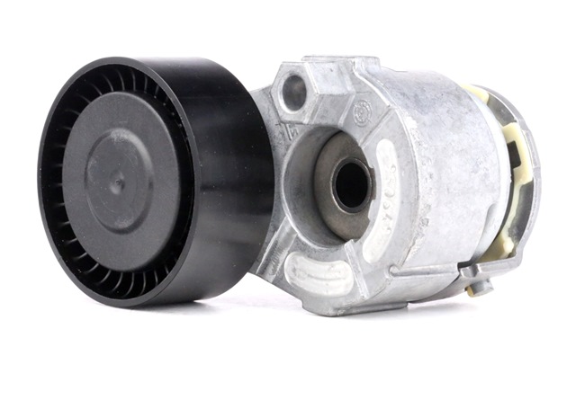 INA 534 0269 10 Braccio tenditore, Cinghia Poly-V RENAULT MODUS / GRAND MODUS (F/JP0_) 112 CV Benzina costo