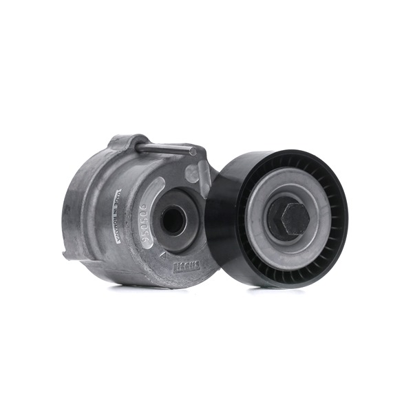 INA 534 0404 10 Βραχίονας σύσφιγξης, ιμάντας poly-V JEEP Compass (MP, M6) 170 PS Πετρέλαιο κόστος