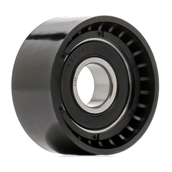 RIDEX 310T0894: Spännrulle, aggregatrem Ø: 55mm, Ø: 55mm