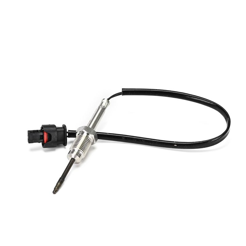 DELPHI TS30363-12B1 Датчик, температура на изгорелите газове BMW 5 Седан (F10) 211 K.C. дизел цена