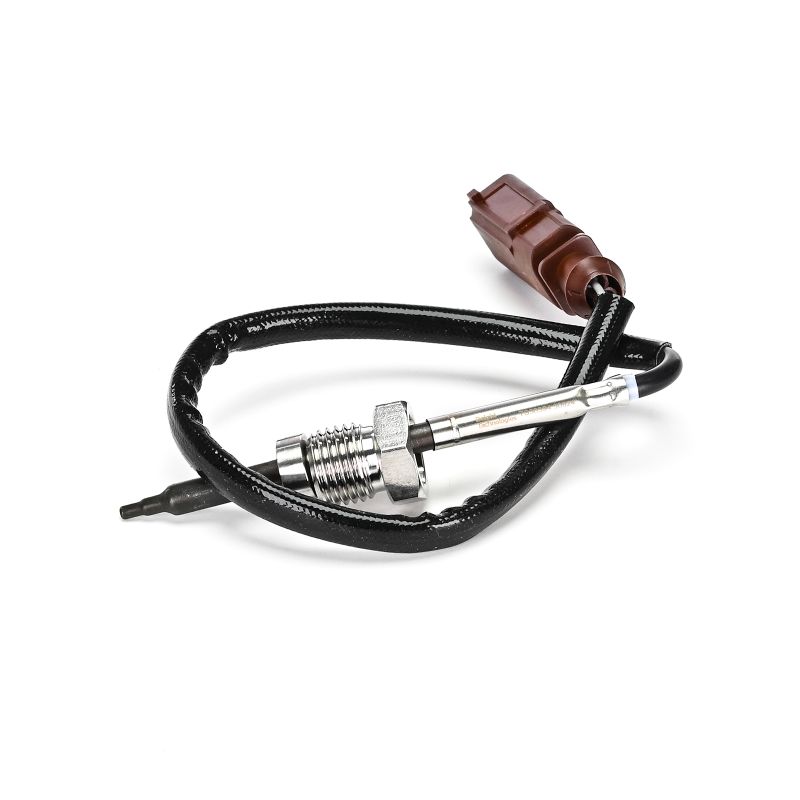 DELPHI TS30394-12B1: Abgastemperatursensor