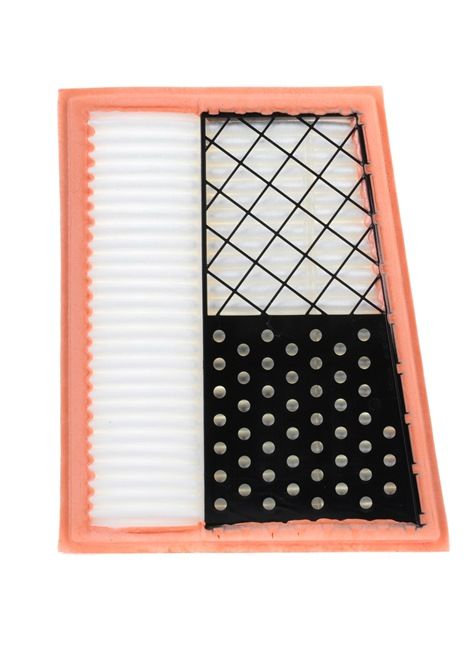 HENGST FILTER E1029L01: Gaisa filtrs