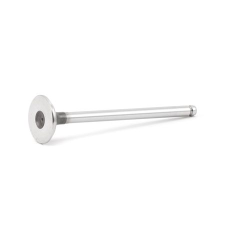 FRECCIA R4231/RCR Βαλβίδα εξαγωγής CITROЁN Berlingo / Berlingo First (MF, GJK, GFK) 75 PS Βενζίνη κόστος