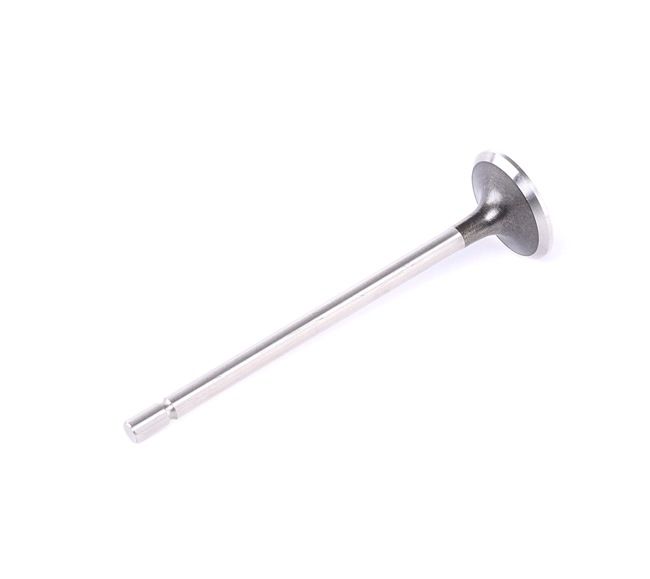 FRECCIA R6030/R Valvola di scarico RENAULT MODUS / GRAND MODUS (F/JP0_) 112 CV Benzina costo