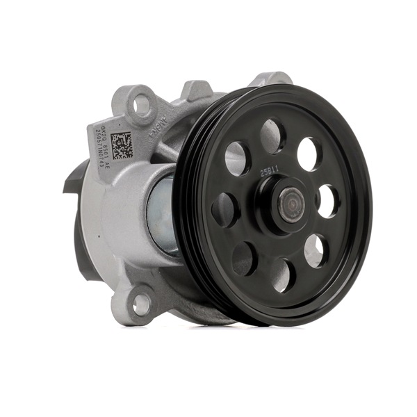 FORD 2540900: Wasserpumpe mit Dichtung