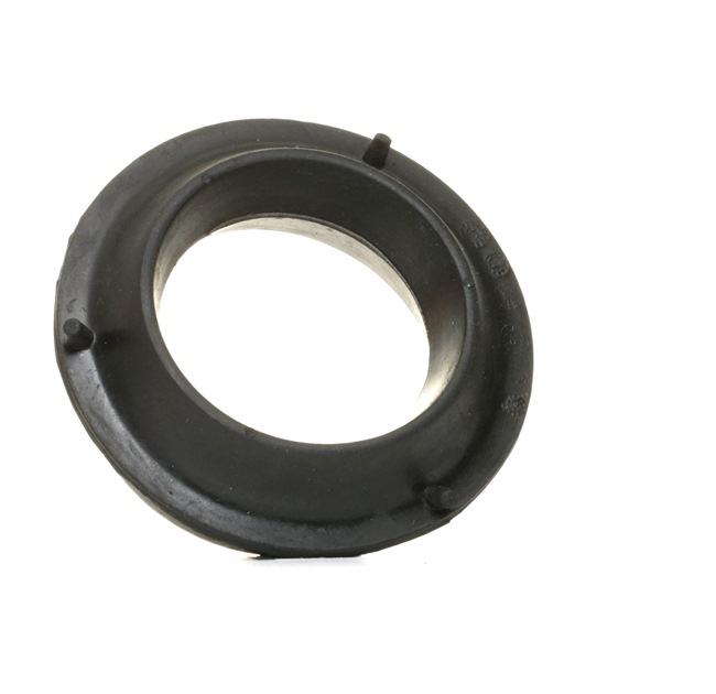 SASIC 4001603: Vedruamordi tugilaager Esisild