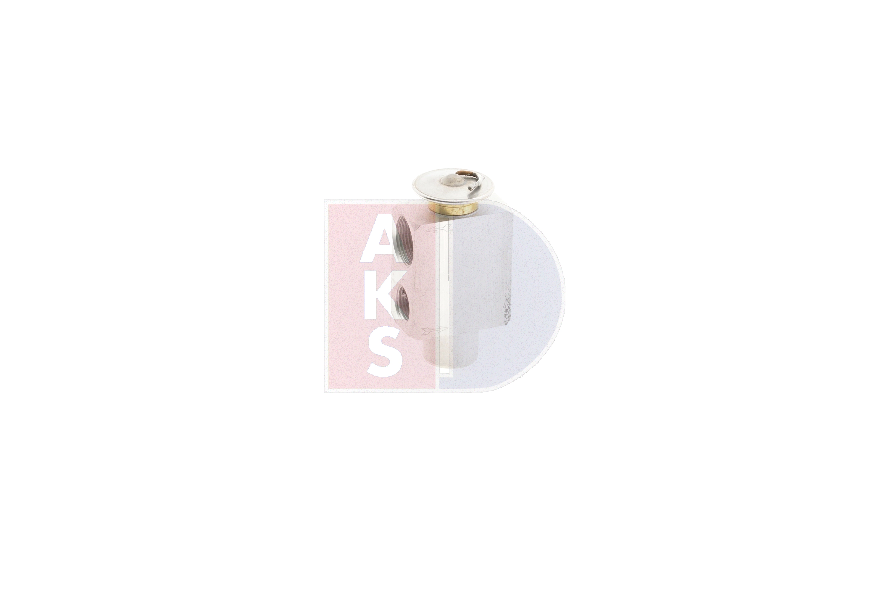 AKS DASIS 840030N: Supapa expansiune, clima
