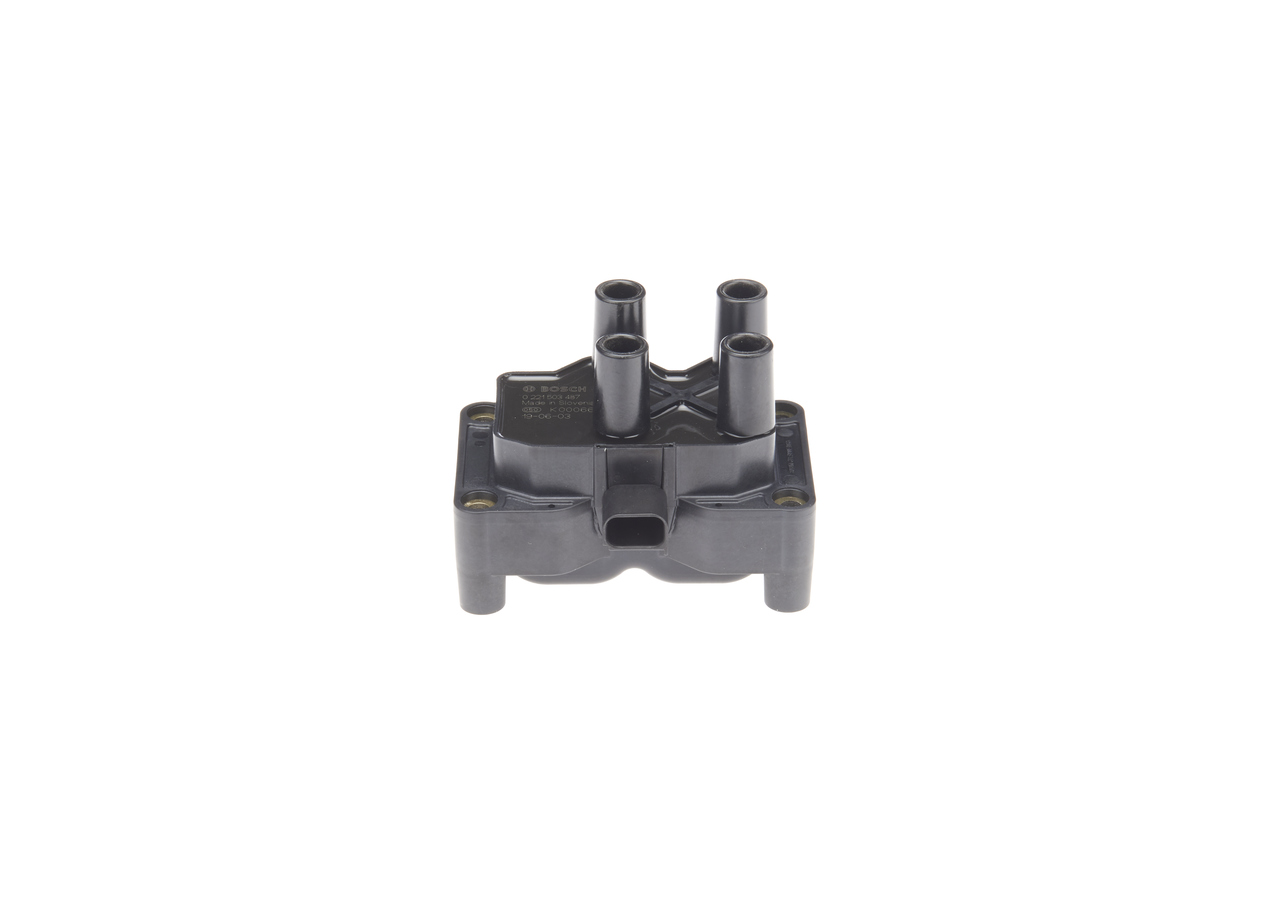 BOSCH 0 221 503 487: Süütepool