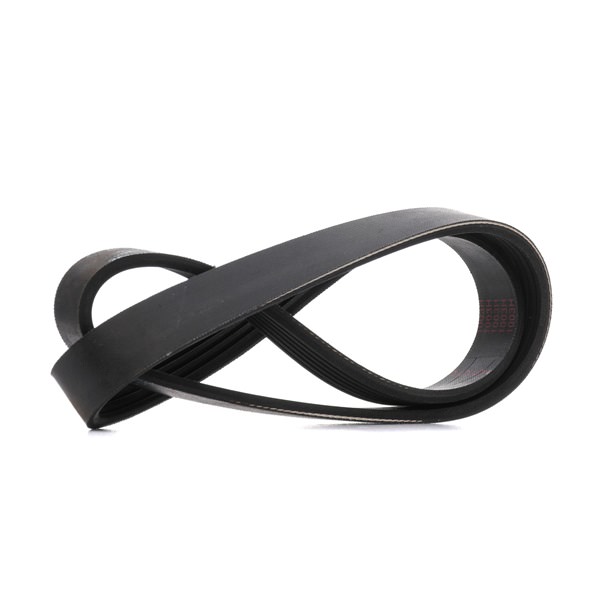 MAPCO 260863: Curea transmisie cu caneluri 863mm, Numar nervuri: 6