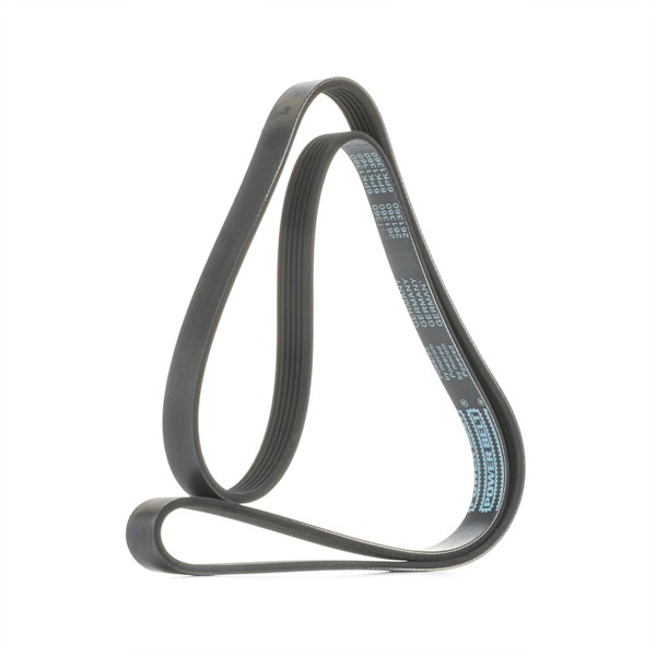 MAPCO 261360: Curea transmisie cu caneluri 1360mm, Numar nervuri: 6