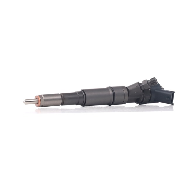 BOSCH 0 445 110 266 Μπεκ ψεκασμού LAND ROVER Range Rover 3 (L322) 177 PS Πετρέλαιο κόστος