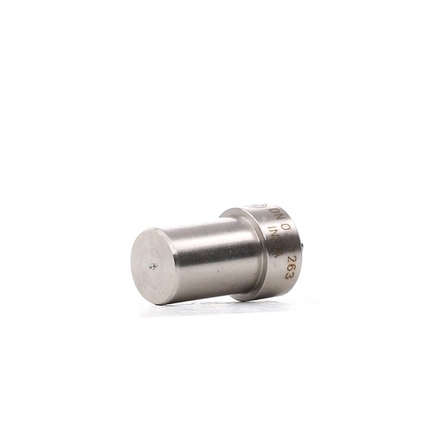 BOSCH 0 434 250 125 Naaldzitting LAND ROVER Range Rover 1 121 Pk Diesel kosten
