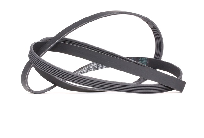 BOSCH 1 987 948 495: Correa trapecial poli V 2257mm, Número de nervaduras: 6