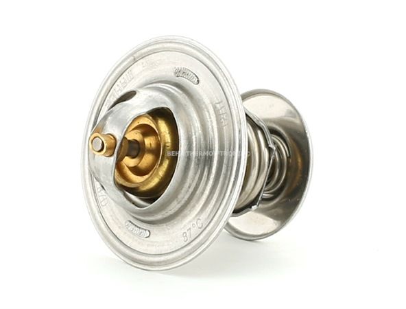 BEHR THERMOT-TRONIK TX 15 87D Thermostaat, koelvloeistof VOLKSWAGEN TRANSPORTER 4 Bus (70XB, 70XC, 7DB, 7DW) 61 Pk Diesel kosten