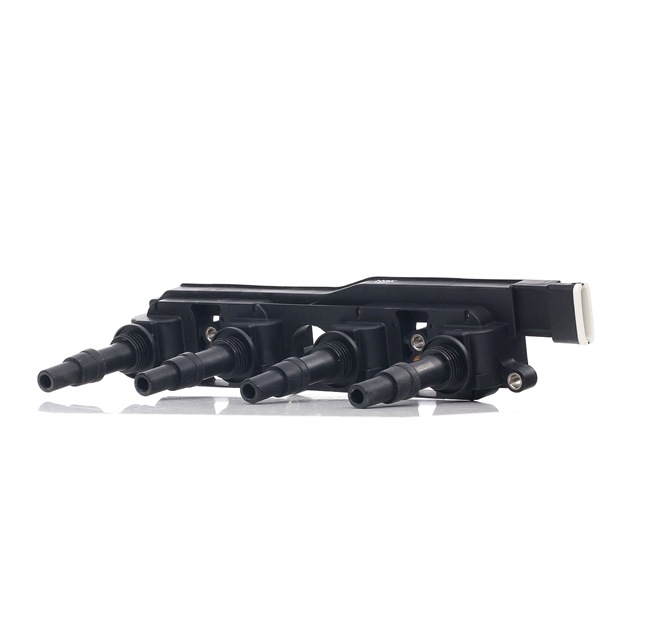 NGK 48011: Bobine 5-polig