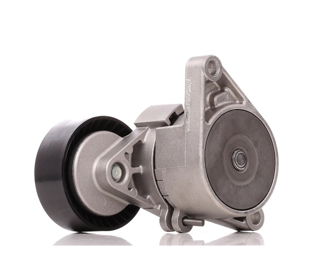 FEBI BILSTEIN 10781: Riemenspanner, Keilrippenriemen