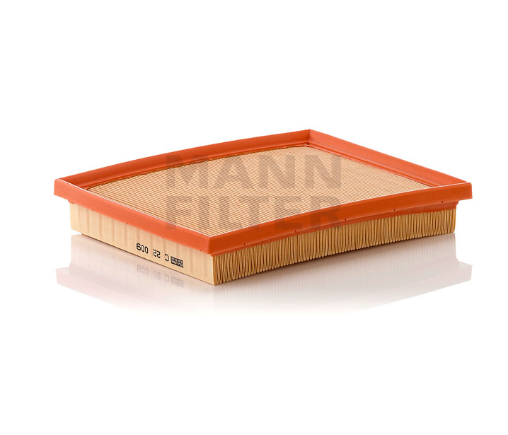 MANN-FILTER C 22 009: Gaisa filtrs