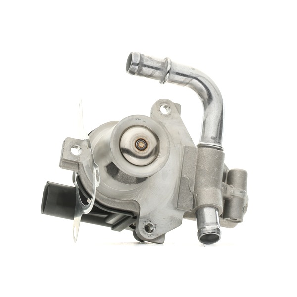 PIERBURG 7.00368.16.0 EGR klep RENAULT KANGOO Express (FW0/1_) 109 Pk Diesel kosten