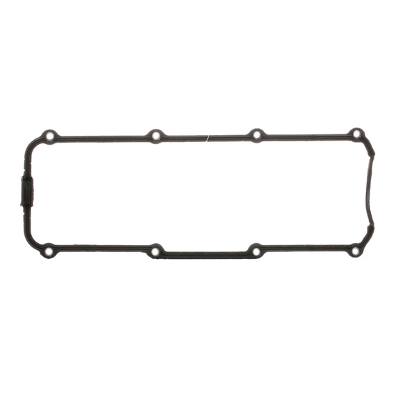 REINZ 71-31691-00 Kleppendekselpakking SKODA OCTAVIA (1U2) 101 Pk Benzine kosten
