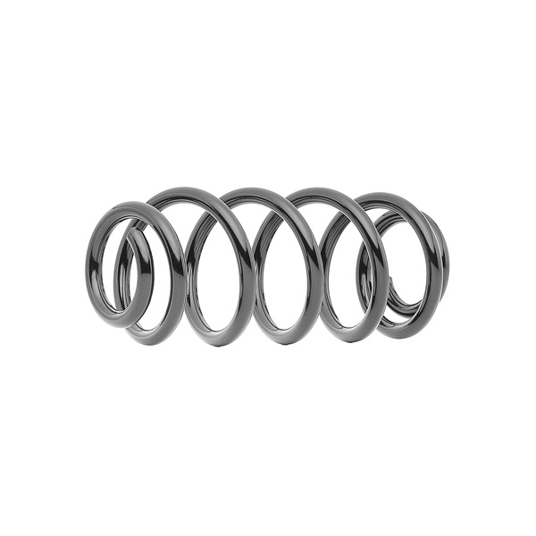 KYB RH6294: Arc spiral puntea spate K-Flex