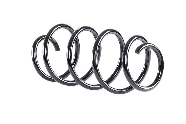 SACHS 993 044: Chassisveer