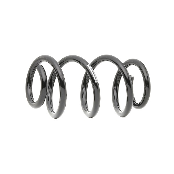 SACHS 993 134: Arc spiral
