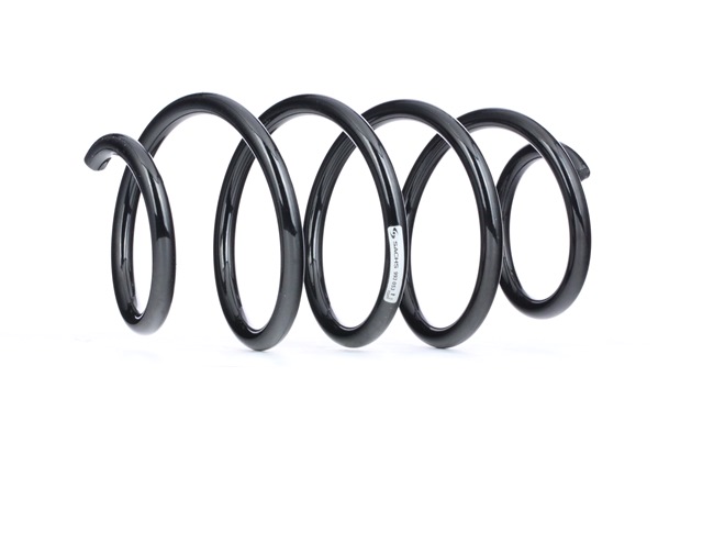 SACHS 993 053: Chassisveer