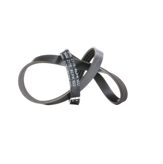 FEBI BILSTEIN 38444: Curea transmisie cu caneluri 922mm, Numar nervuri: 4, Pt. montaj necesita scula speciala