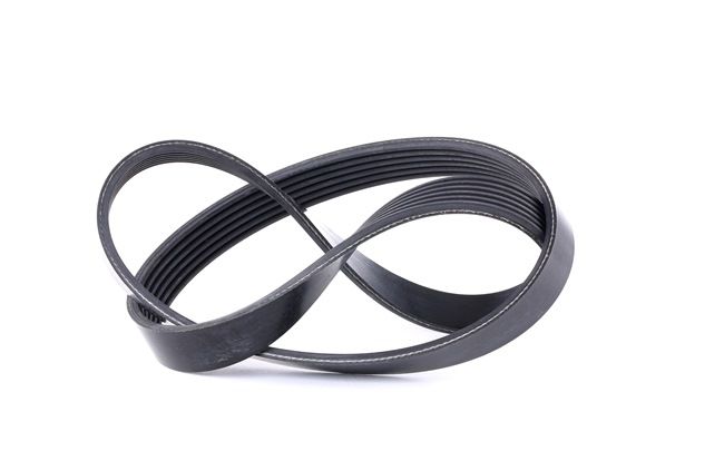 FEBI BILSTEIN 38245: Multiriem 1019mm, Ribbenaantal: 6, Speciaal gereedschap voor montage noodzakelijk