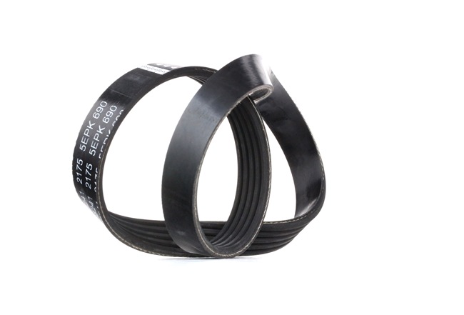 FEBI BILSTEIN 38241: Multiriem 690mm, Ribbenaantal: 5, Speciaal gereedschap voor montage noodzakelijk