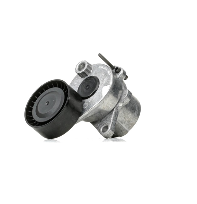 FEBI BILSTEIN 38468: Intinzator curea, curea distributie