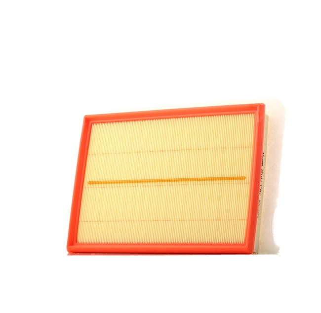 VALEO 585175 Luftfilter mit Vorfilter