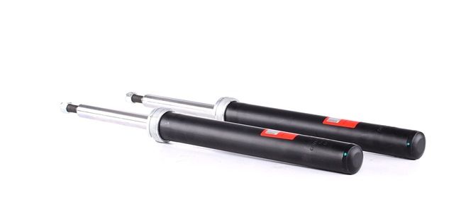 TRW JGC105T: Schokdemper Gasdruk, TWIN