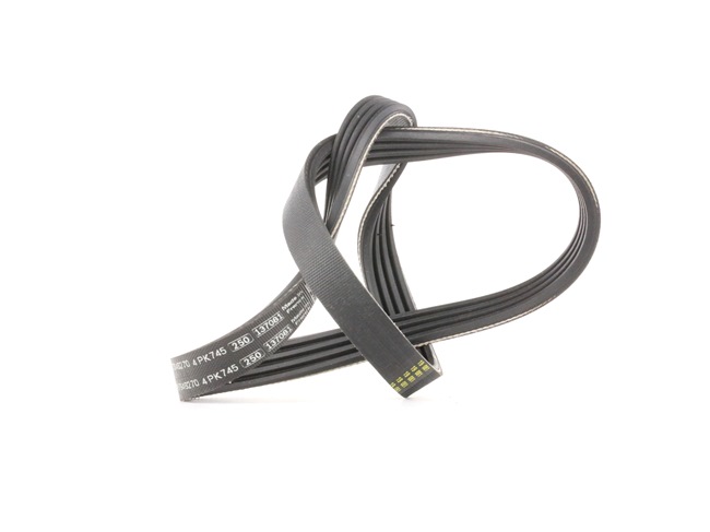 BOSCH 1 987 946 270 Multiriem RENAULT TWINGO 2 (CN0) 75 Pk Benzine kosten