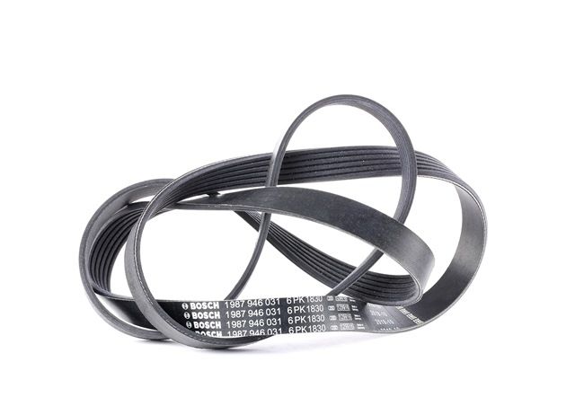 BOSCH 1 987 946 031 Multiriem BMW Z4 Roadster (E89) 258 Pk Benzine kosten