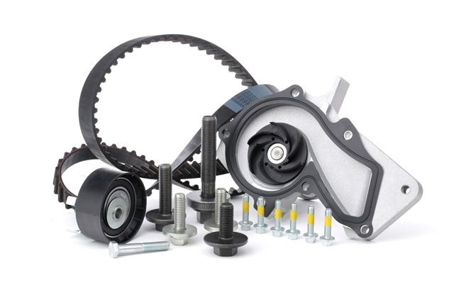 INA 530 0495 30: Kit cinghia distribuzione, pompa acqua