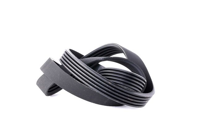 DAYCO 5PK1150: Curea transmisie cu caneluri 1150,0mm, Numar nervuri: 5