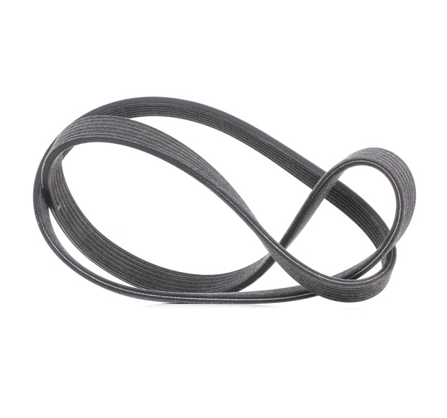 DAYCO 6DPK1320: V formos rumbuoti diržai 1320,0mm, briaunų skaičius: 6