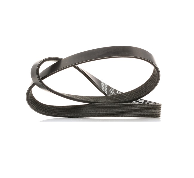 DAYCO 6PK1019EE: Multiriem 1019,0mm, Ribbenaantal: 6